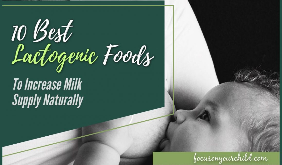 10 Best Lactogenic Foods to Increase Milk Supply Naturally