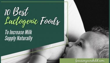 10 Best Lactogenic Foods to Increase Milk Supply Naturally