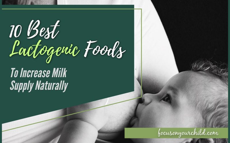 10 Best Lactogenic Foods to Increase Milk Supply Naturally