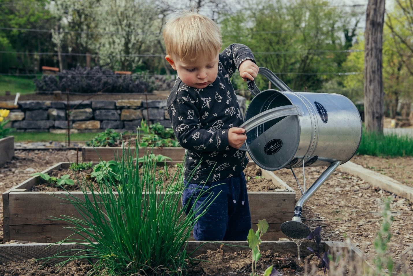 baby outdoors