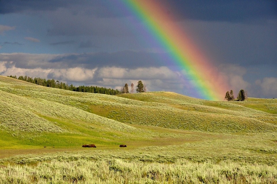 field rainbow