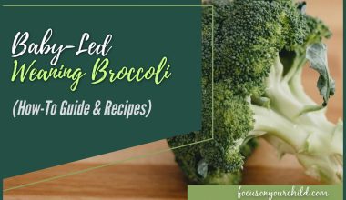 Baby-Led Weaning Broccoli (How-To Guide & Recipes)