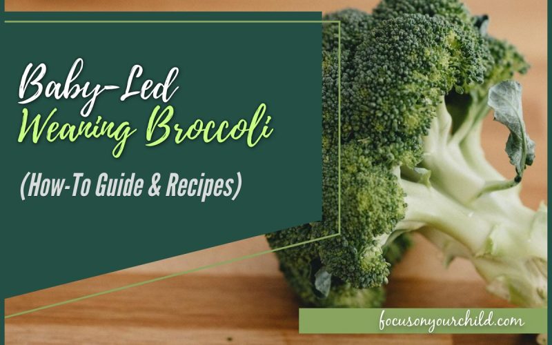 Baby-Led Weaning Broccoli (How-To Guide & Recipes)