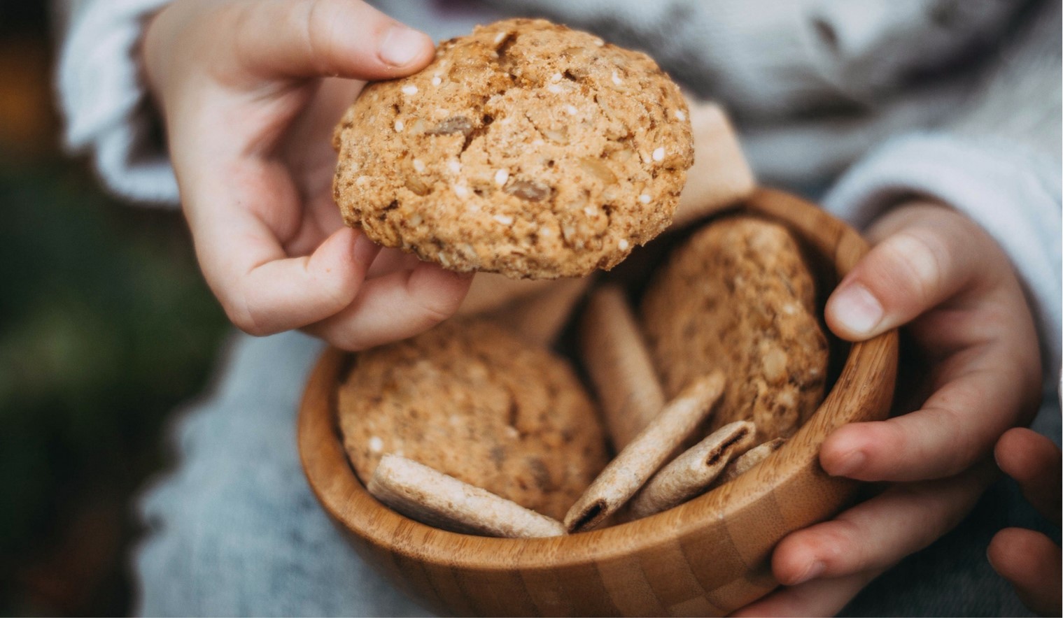 lactation cookies