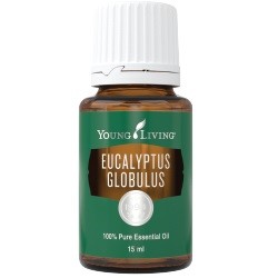 eucalyptus essential oil