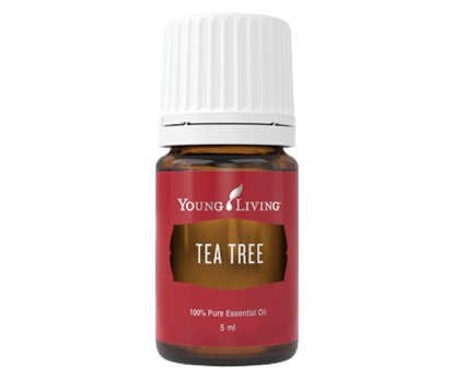 tea tress essential oil