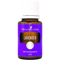 lavender essential oil