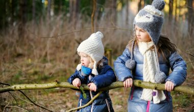 toddlers hiking on the forest