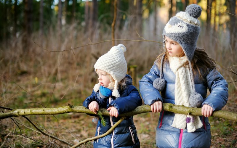 toddlers hiking on the forest