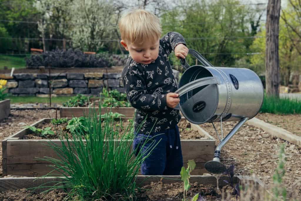 young boy watering the plants