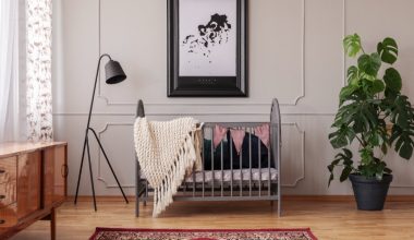 baby's crib with plant and window