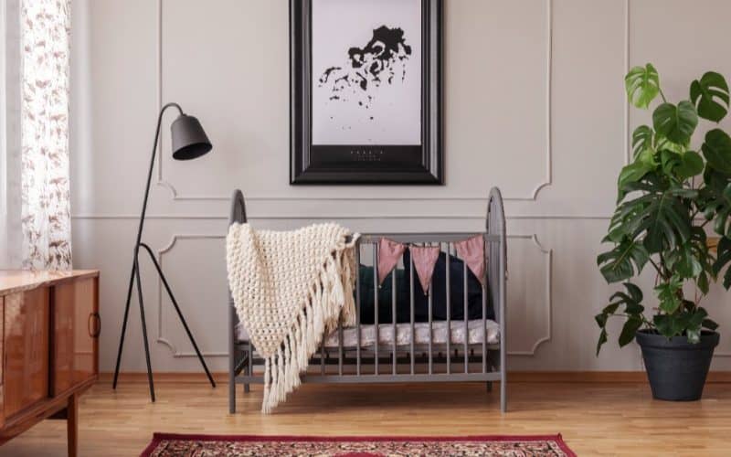 baby's crib with plant and window
