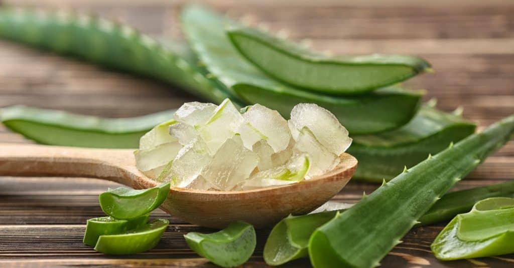 spoonful of aloe vera