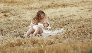 woman breastfeeding on a meadow