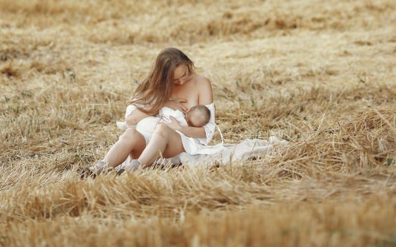 woman breastfeeding on a meadow