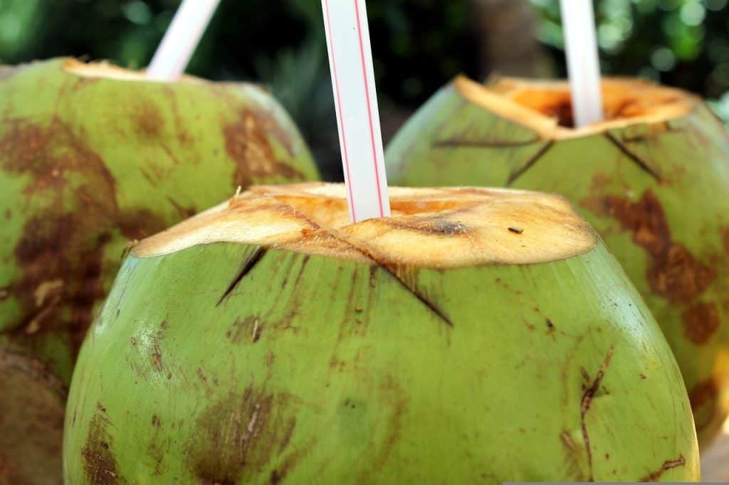 coconut with straws