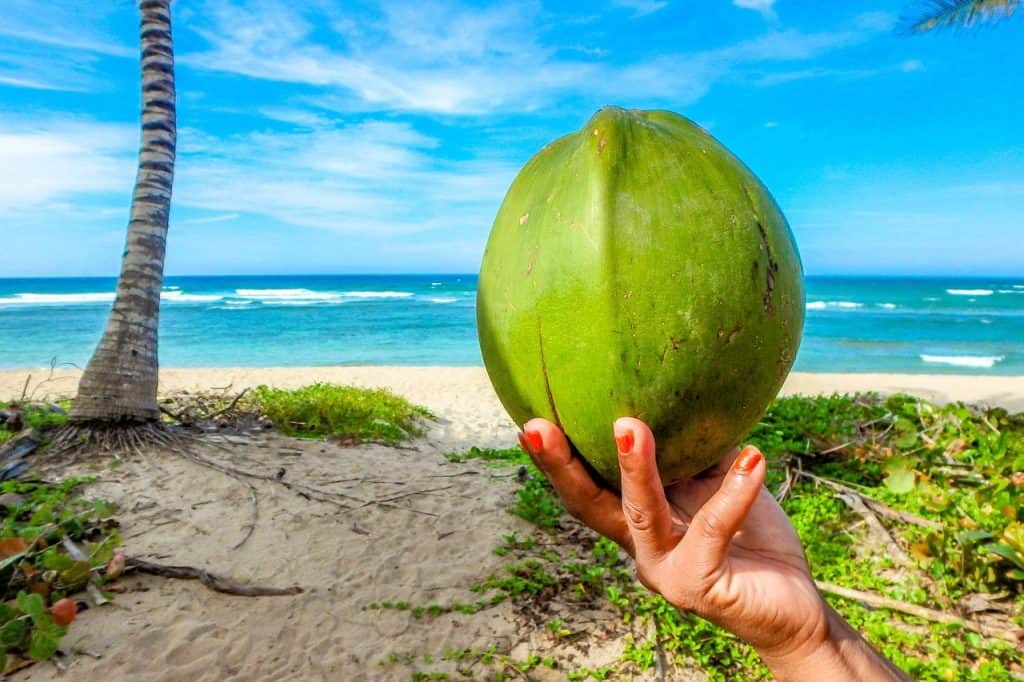 woman holding coconut