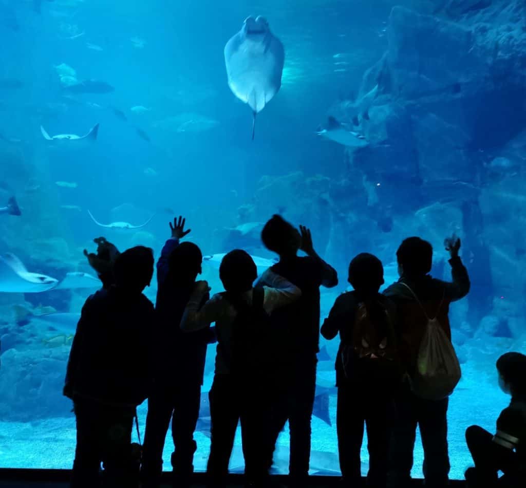 oceanarium