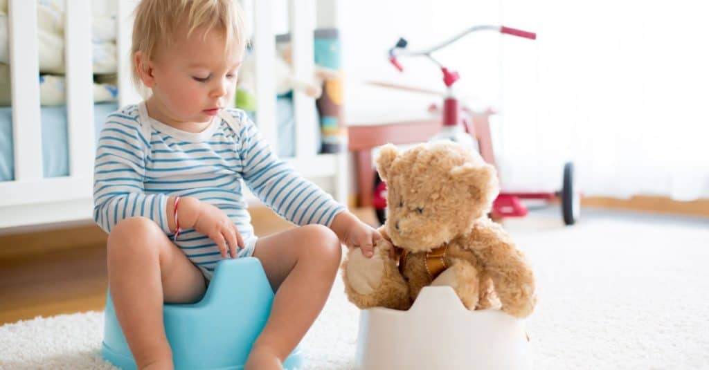 toddler and teddy bear potty training