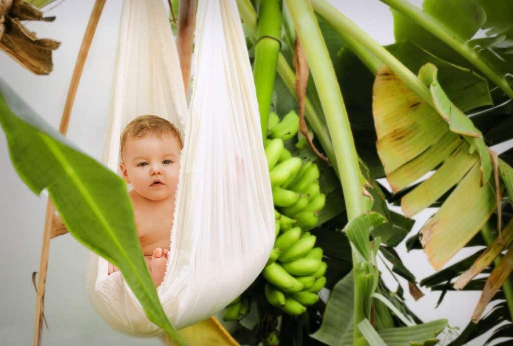 baby on a hammock