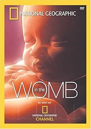 in the womb documentary poster