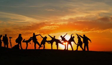silhoutte of people during golden hour