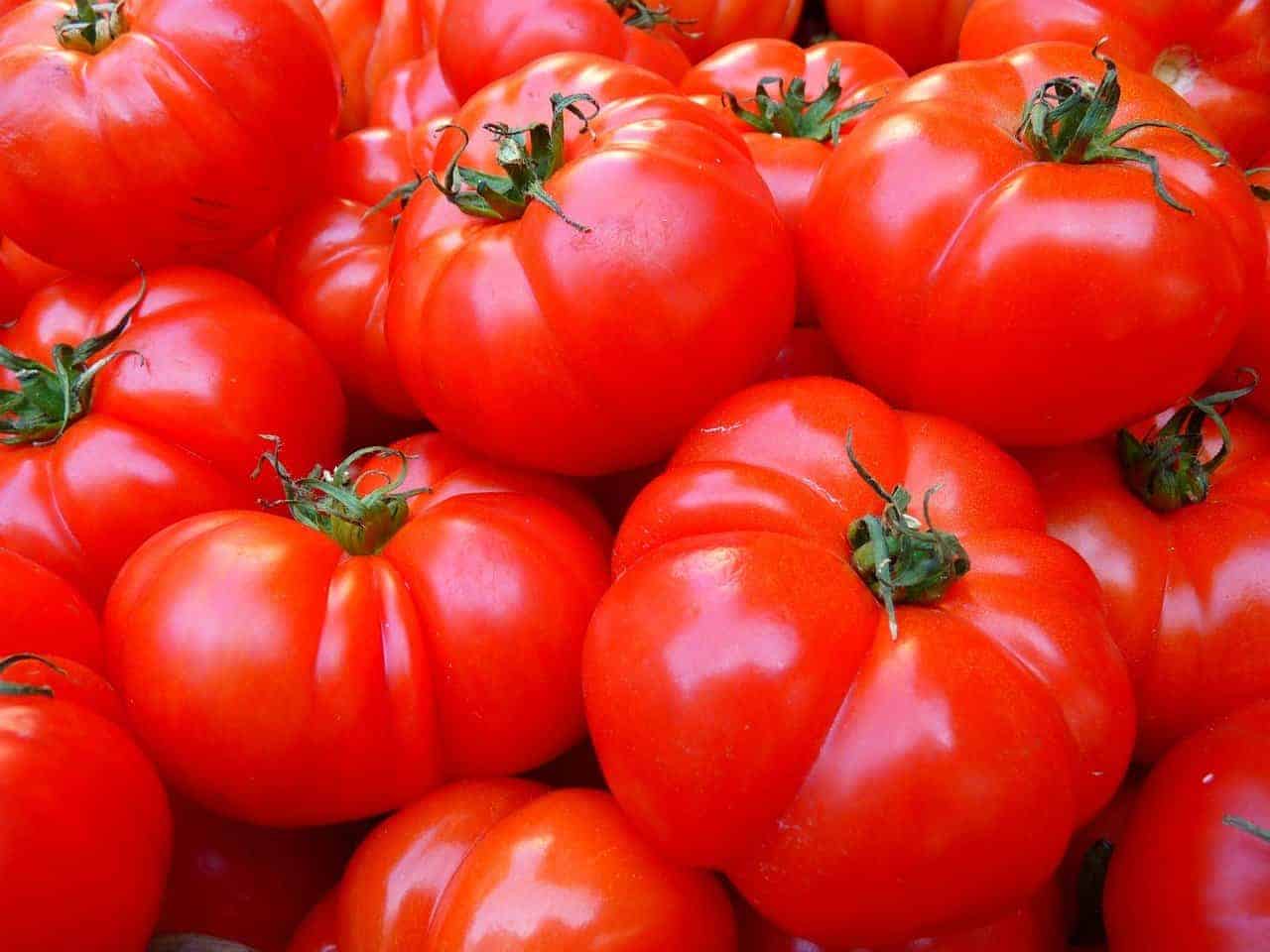 tomatoes close