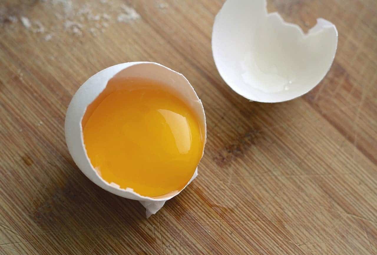 egg yolk