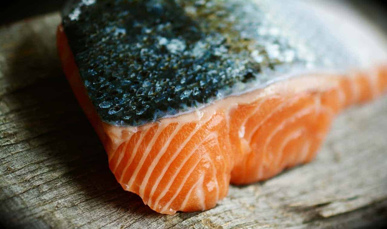 salmon raw