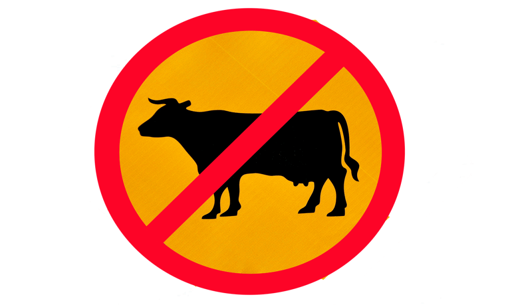 cow with no sign