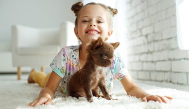 cute girl with a dog
