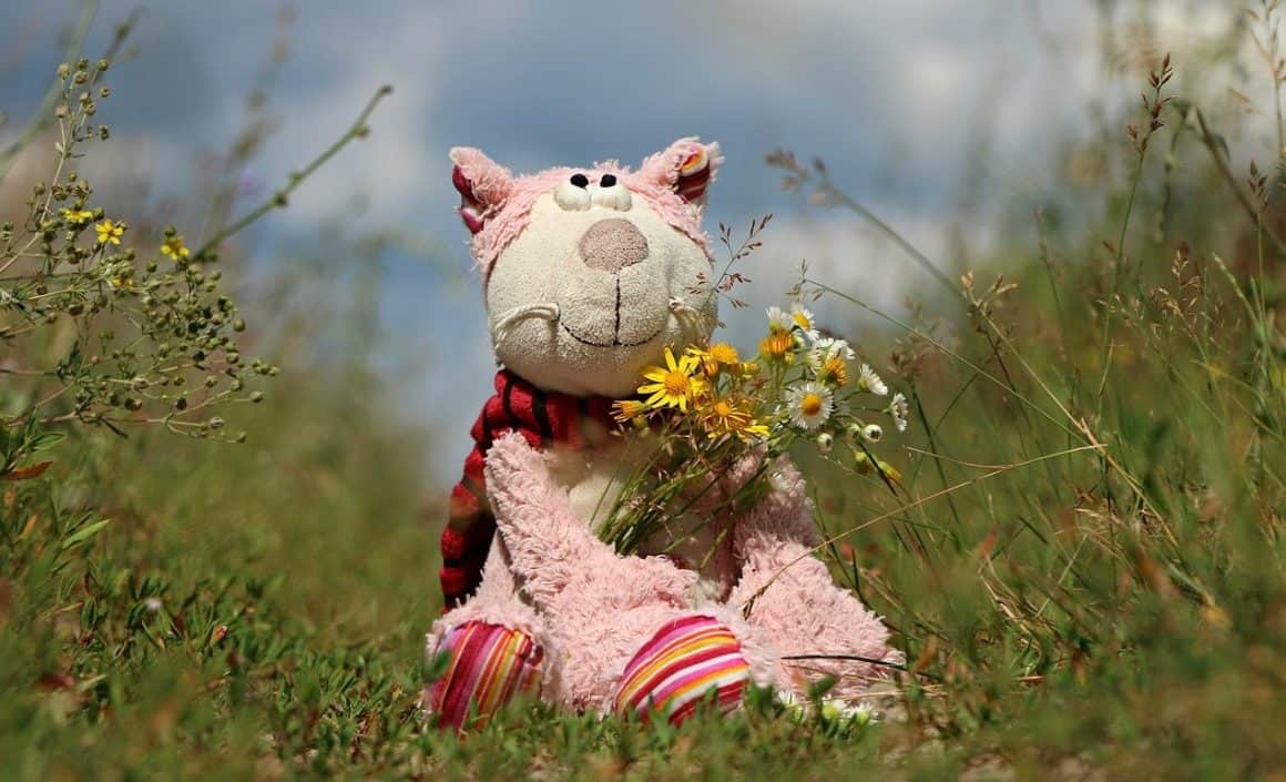 450 Adorable Stuffed Animal Names (Creative Naming Ideas)