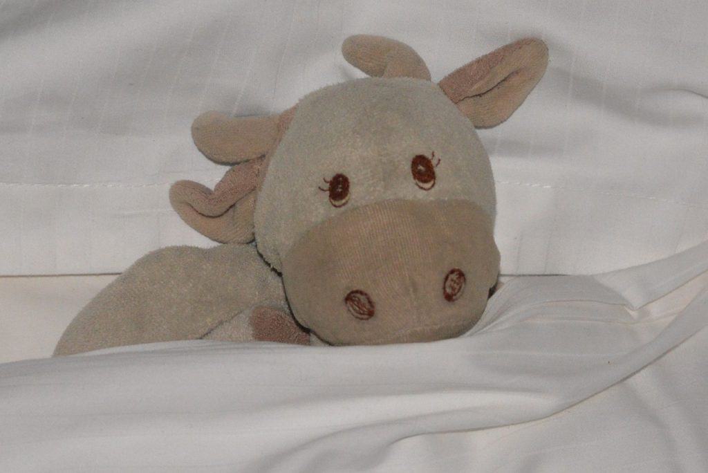 cow stuffed toy