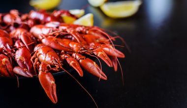 crawfish
