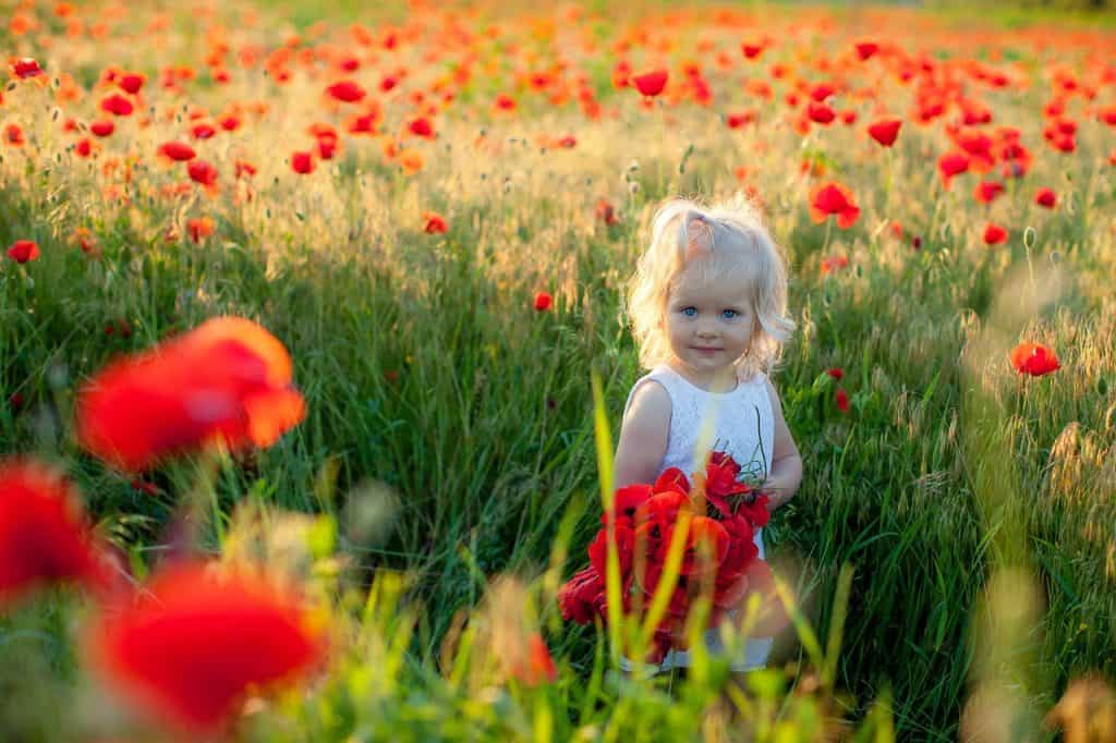 cute little girl picking flowers