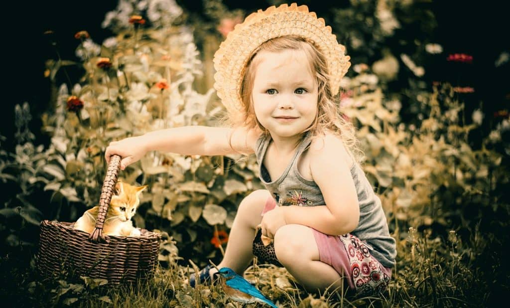 girl holding a basket with cat