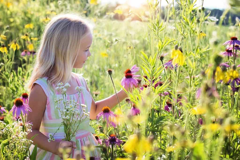 little girl picking a flower