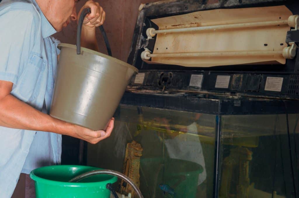 man putting water on fish tank