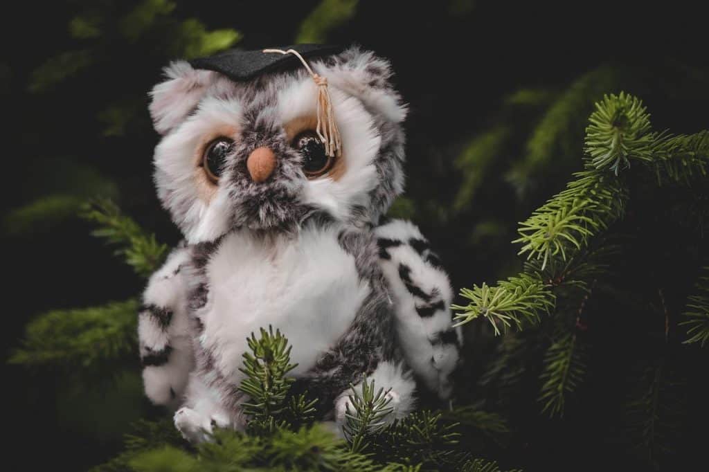 owl stuffed toy