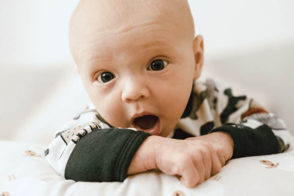 portrait of a newborn baby boy