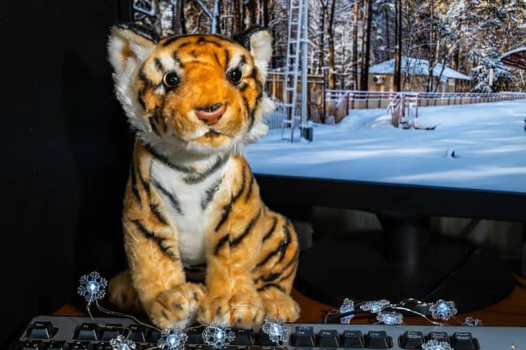 450 Adorable Stuffed Animal Names (Creative Naming Ideas)