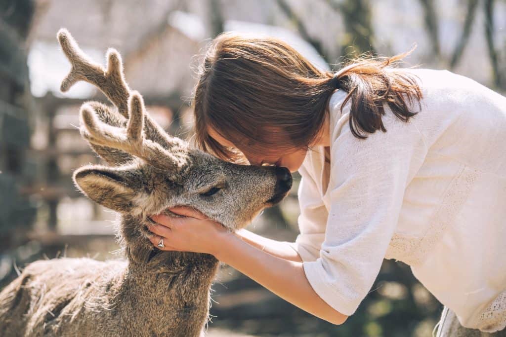woman kissing a deer