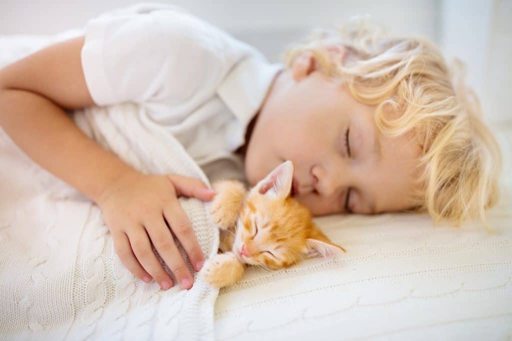 boy and cat sleeping together