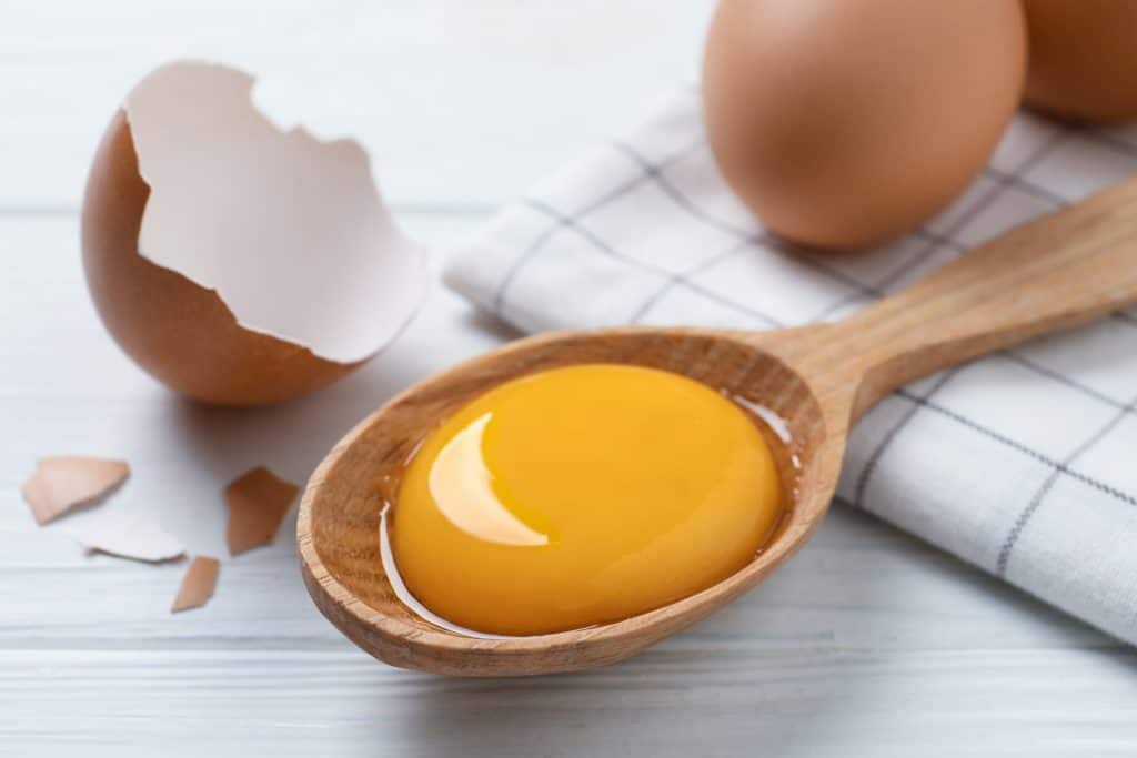 egg yolk