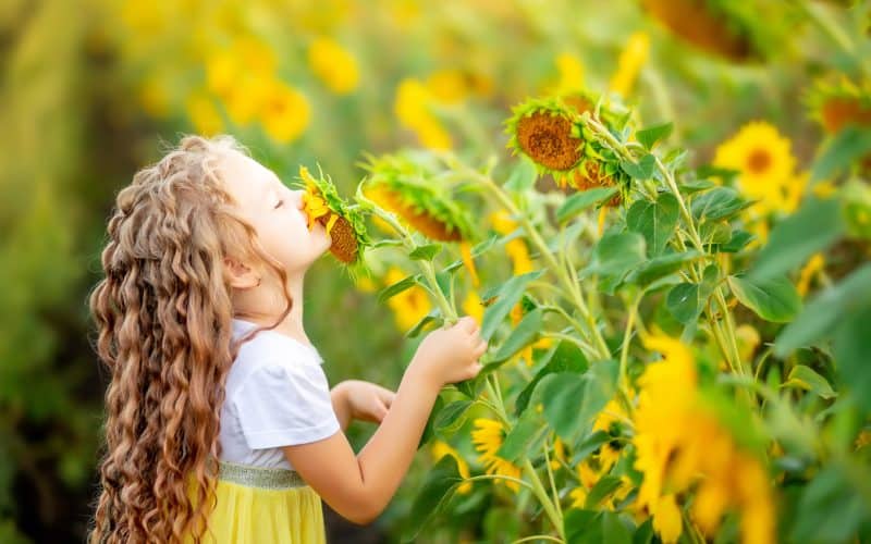 girl smelling sunflower