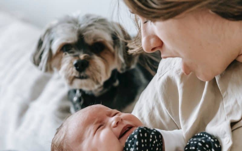 mom calming crying baby