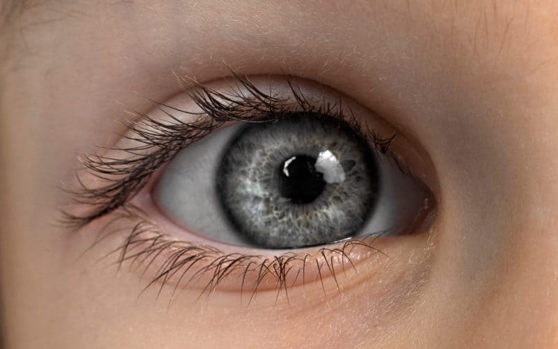 close up photo of baby with gray eyes