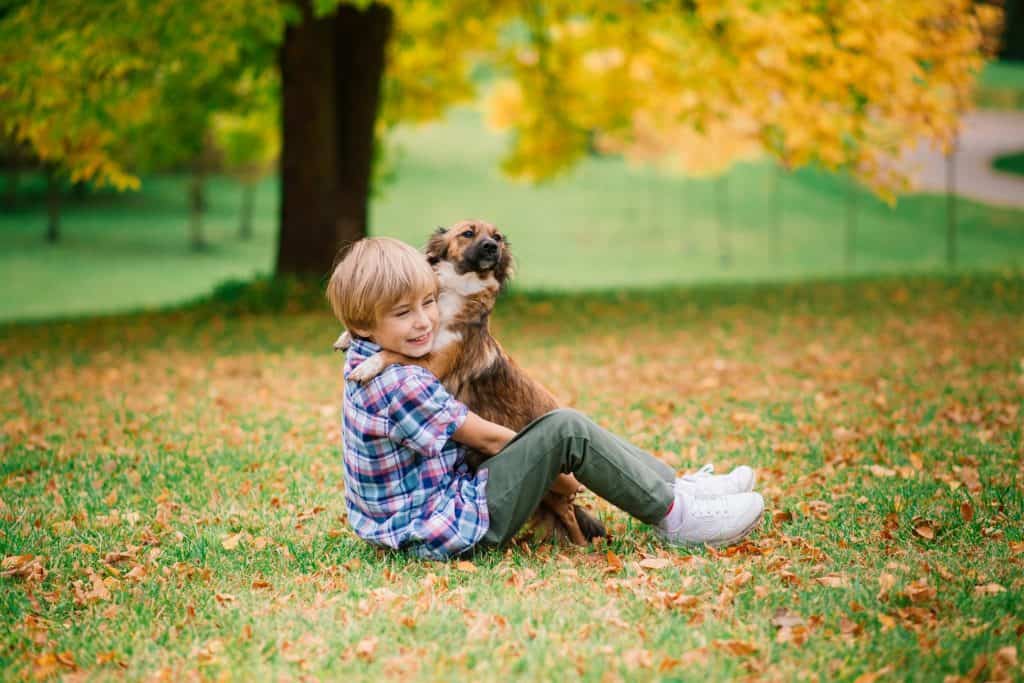 dog hugging a boy