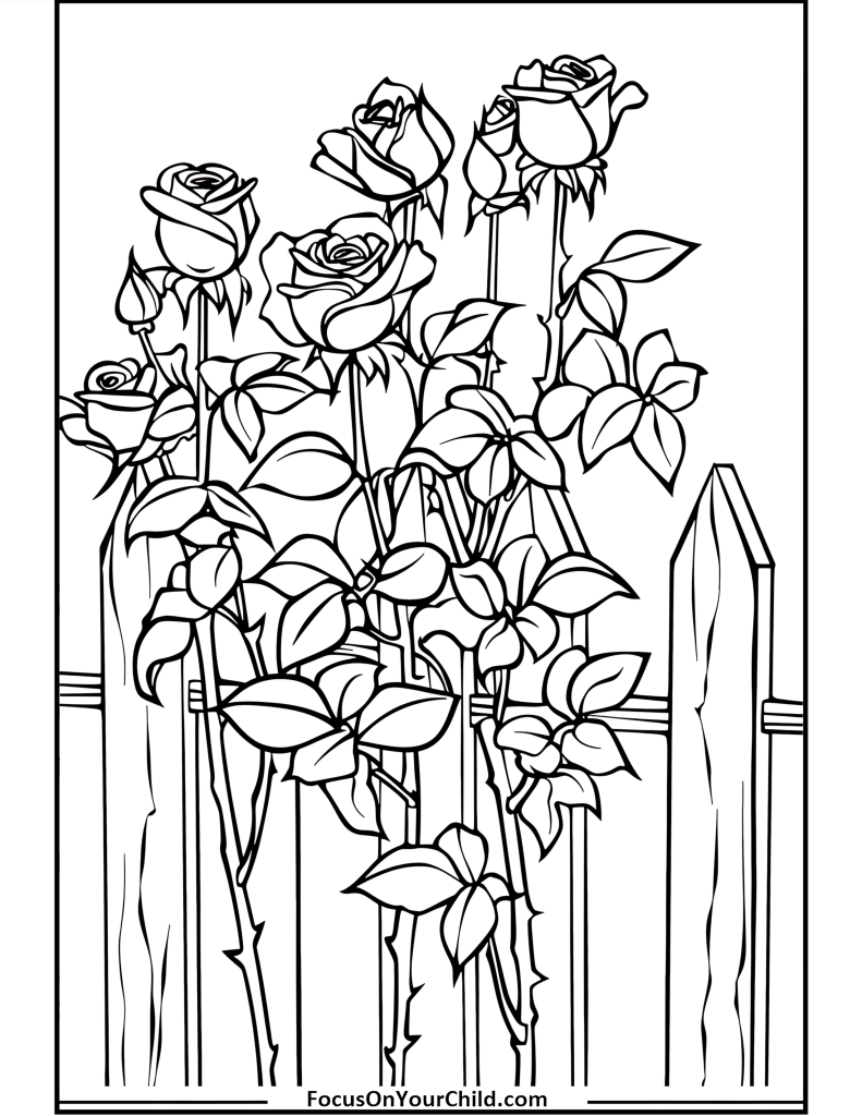 50+ Rose Coloring Pages (Free PDF Printables)