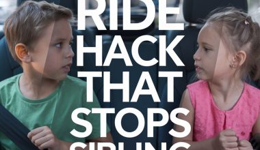 Two kids fighting in the car under the sibling fight prevention hack.
